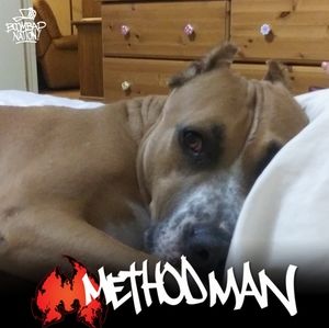 Meet your Posher, Will